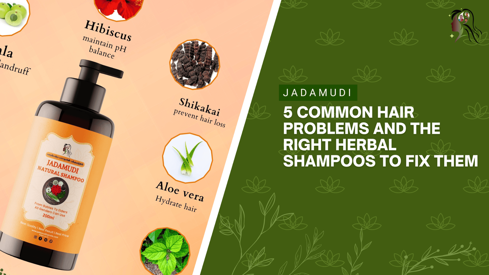 Natural Anti Dandruff Shampoo for Common Hair Problems
